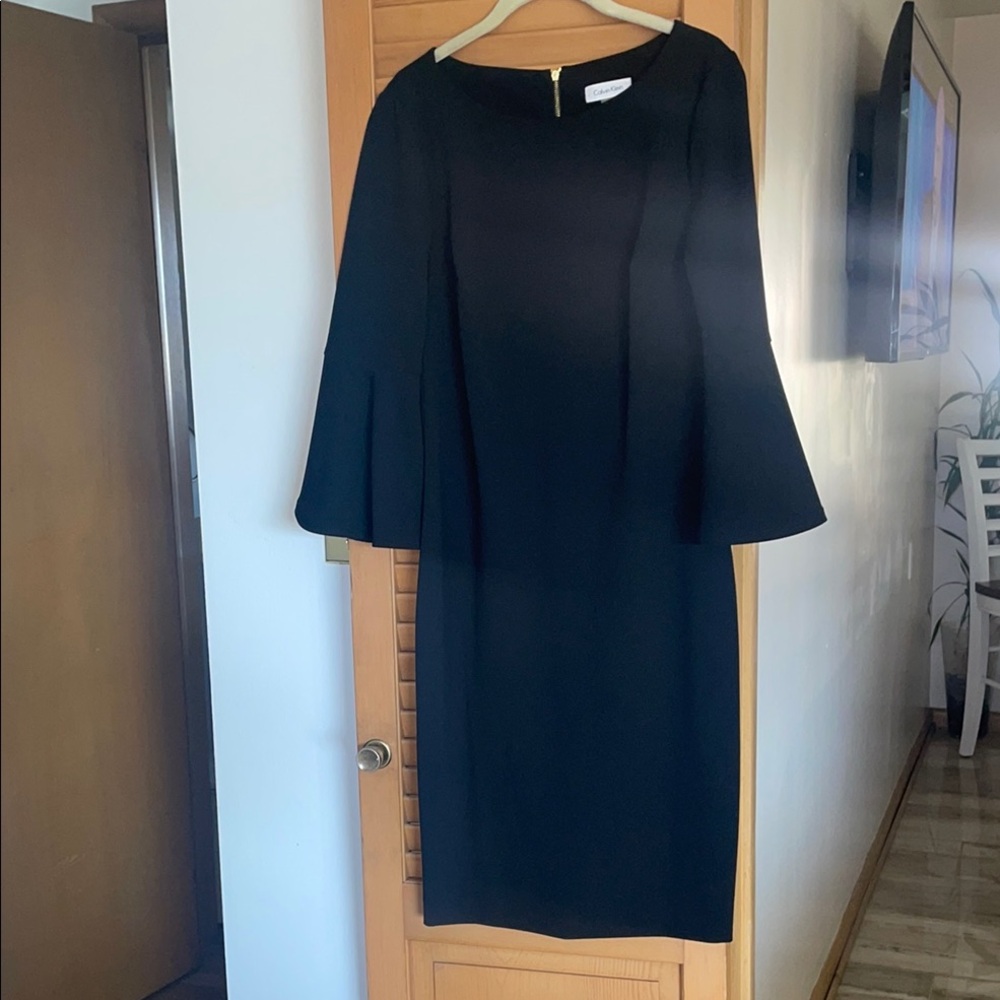 Black Sheath Dress with Bell Sleeves and Crew Neck